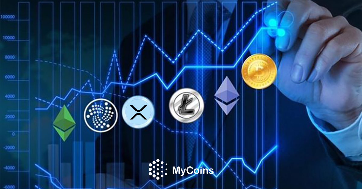 "Top crypto trading apps for beginners"